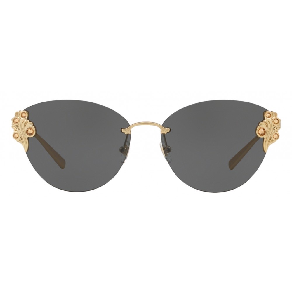 Versace Sunglasses (BRAND NEW)